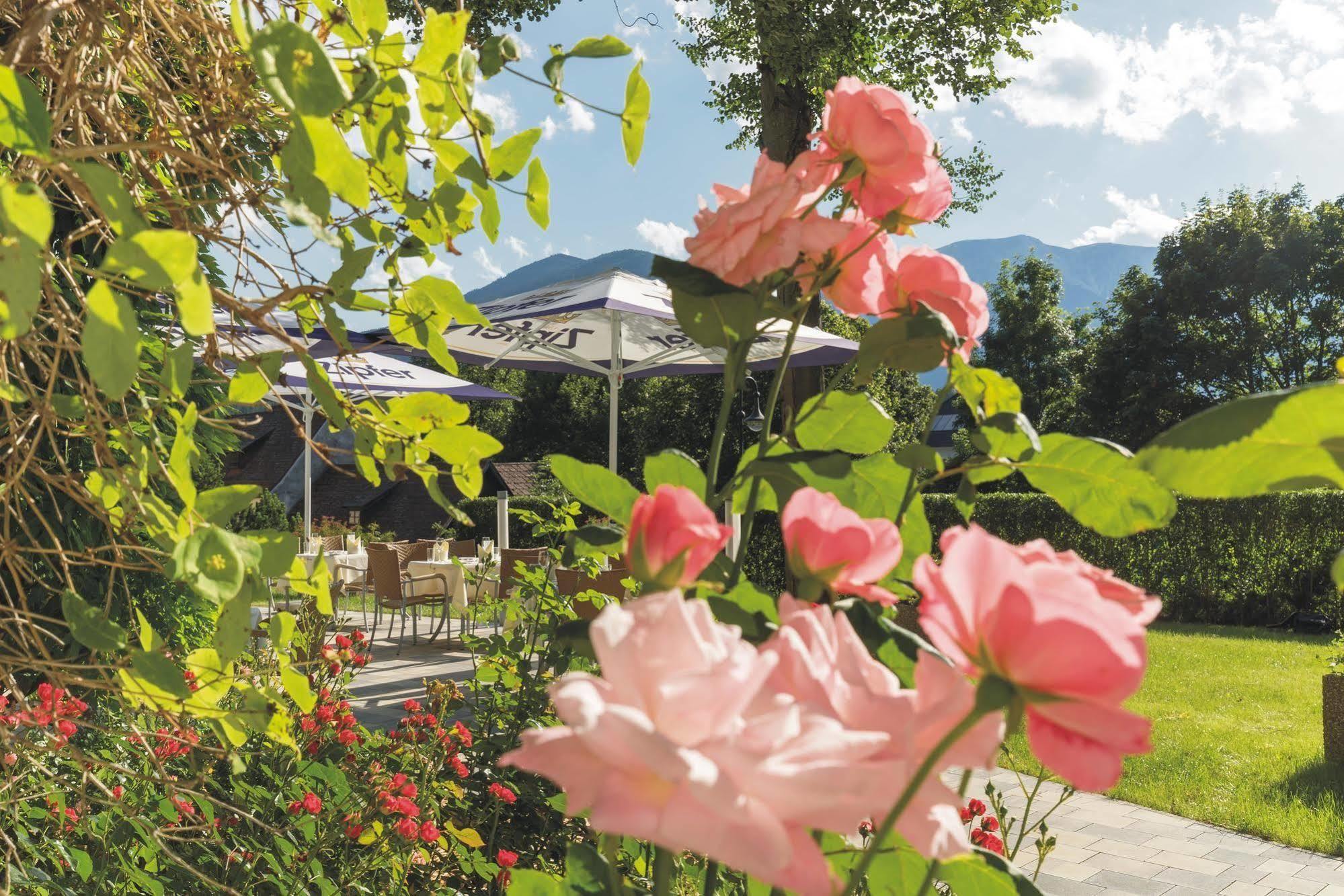 Hotel Schneeberghof Puchberg am Schneeberg Exterior photo